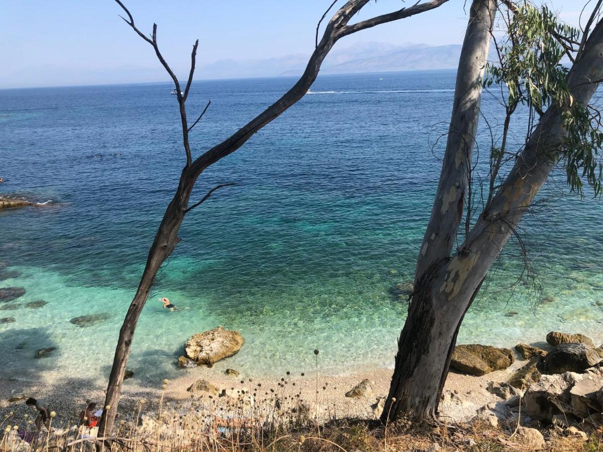 Villa Perris Studios Kassiopi Exteriör bild